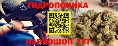 ПСИЛОЦИБИНОВЫЕ ГРИБЫ Апшеронск