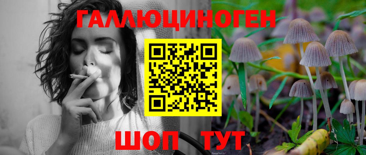 Владикавказ  Галлюциногенные грибы Magic Shrooms  Вход с VPN  Псилоцибиновые грибы Psilocybine cubensis 